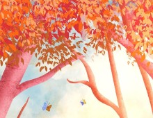 Découverte de la forêt de Vougy