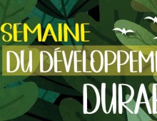 17ème semaine du développement durable