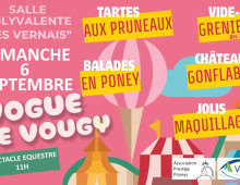 Vogue de Vougy